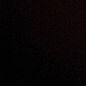 Meet your Posher, Audrey